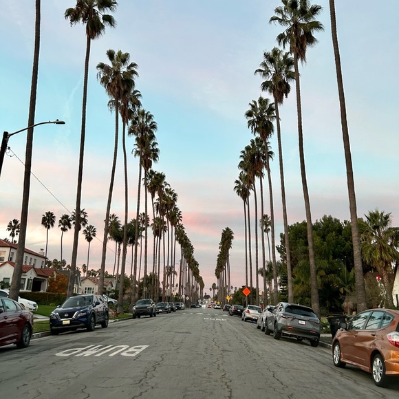 Meet your Posher, Marley 🌹 - Picture 8 of 12